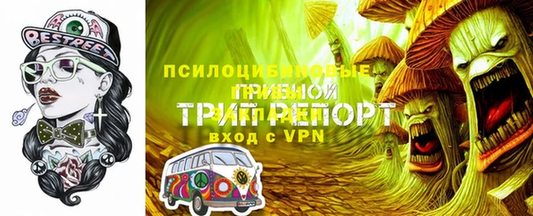 гашик Дедовск